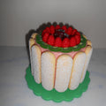 Ladyfingers Cake Thumbnail