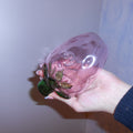 strawberry Thumbnail