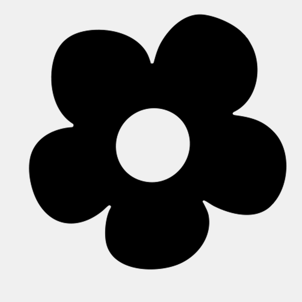 Package Protection Valid in US.