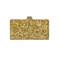 Gold Confetti / Gold Chain with Gold Kiss Lock Thumbnail
